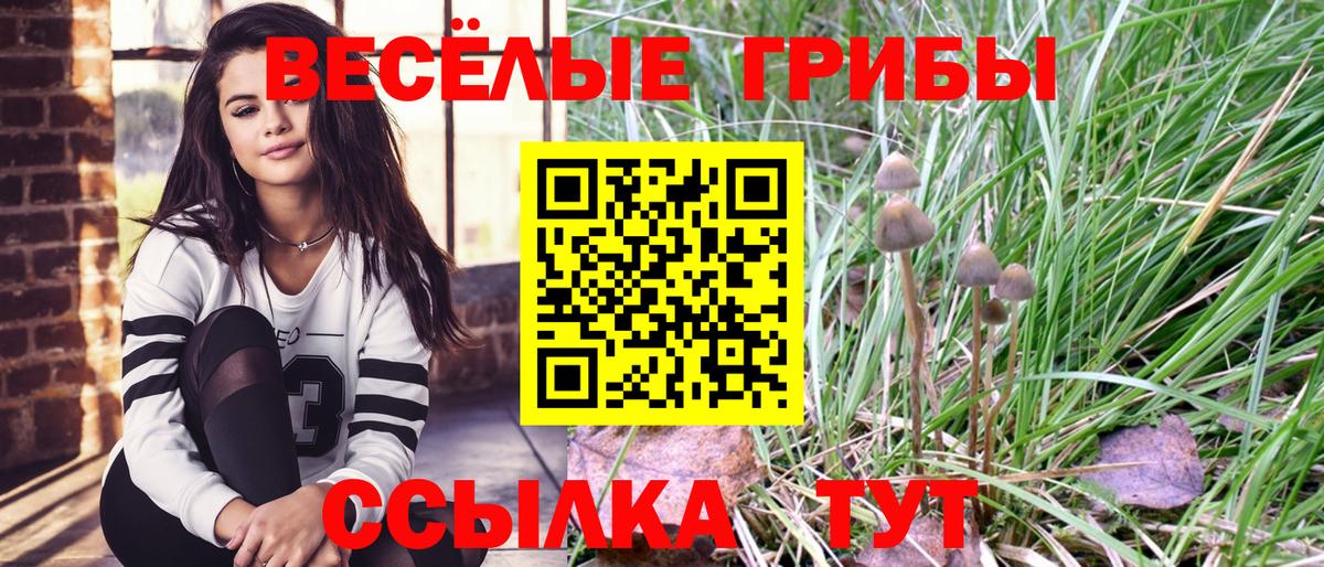 Псилоцибиновые грибы прущие грибы  Вход с VPN  Лабытнанги 