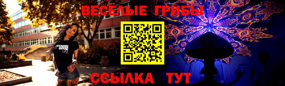 Галлюциногенные грибы Psilocybine cubensis Лабытнанги